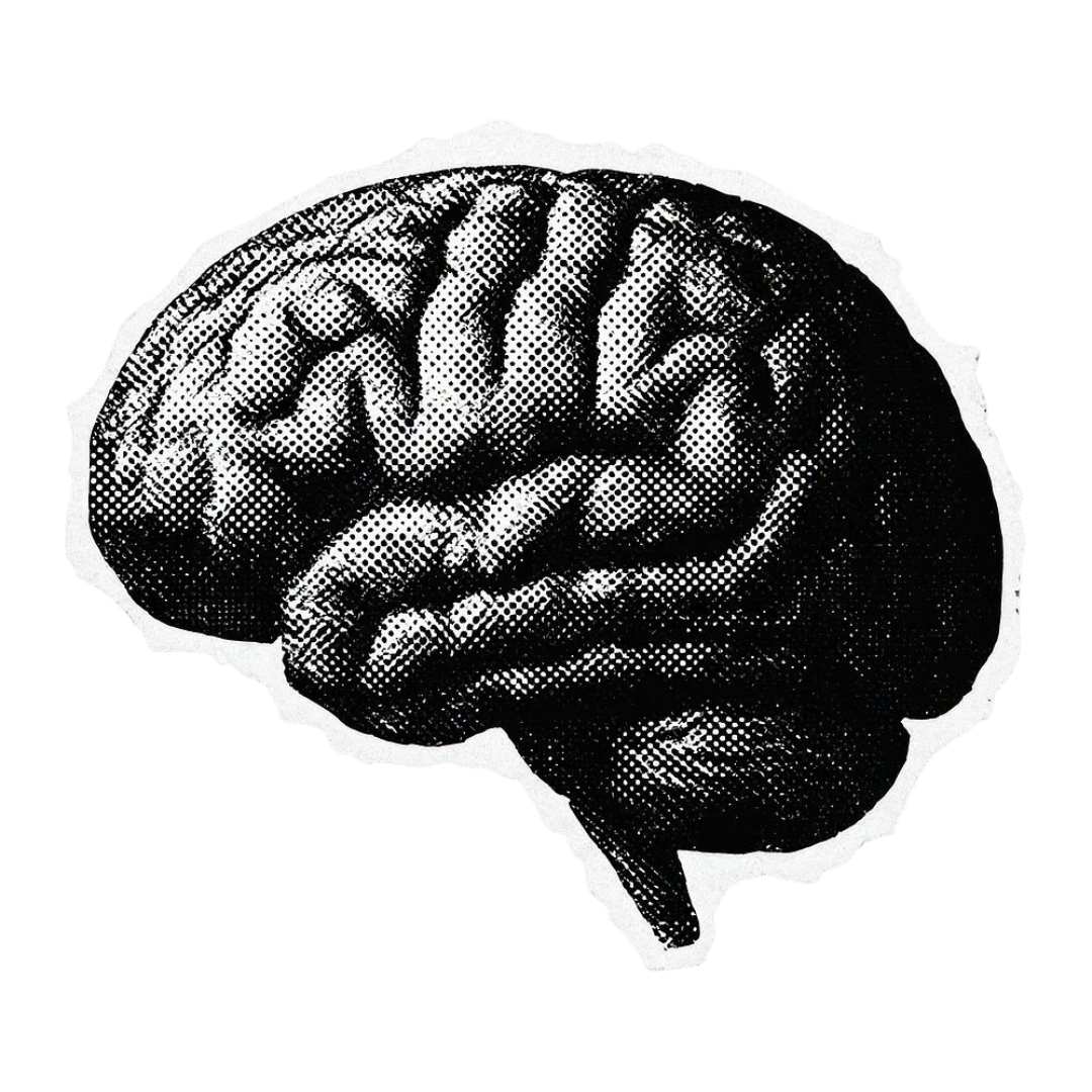 Brain icon